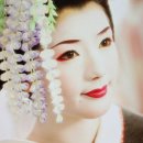숲속은빛둥지 이미지