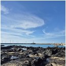 바당쿰다 이미지