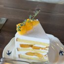 한림초등학교 | 제주 서쪽 한림 카페 케이크맛집 cafe064knot 내돈내산