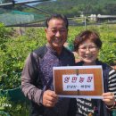 박정자농장 이미지