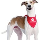 KABB 동물병원 이미지