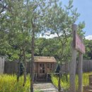 럿지(Lodge) 이미지