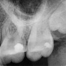 드림치주과치과의원 이미지