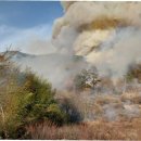 밀양요양병원 이미지