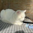 남평로199번길 이미지