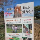 치바위 | 일본 아이랑 가볼만한곳! 치바 마더목장 후기:)