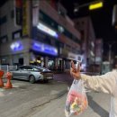 벚꽃 산책 / 뉴뉴 명동점 / 잠실야구장 두산 롯데 경기 후기 / 감자탕 맛집 팔팔감자탕 / 롱샴 플리아쥬...