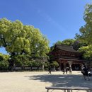 야마야푸즈서비스야마야주 | 후쿠오카 여행 | 일본 입국 심사서 사이트 일본 비짓 제팬 웹 등록 방법, 큐알코드 생성