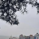 선창마트 네이버블로그