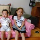 서우 카카오 검색결과