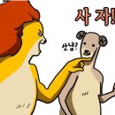 키즈부스