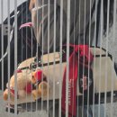 온스타일헤어 - 도봉구 방학로15길 25 | [구매후기] CJ온스타일 × 나른 KBO 콜라보 "방도스카프 헤리티지 에디션 기아타이거즈"