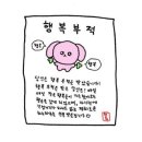 분당복싱체육관 이미지