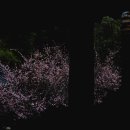 선비뜨락 이미지