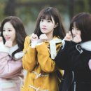 송하 이미지