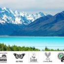 버블스토어 이미지