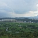 도안대로 Daum카페