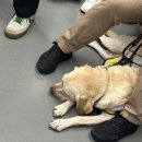 가마로강정 올림픽성내점 이미지