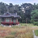 김해김씨 열녀문 이미지