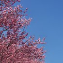 그림으로 읽어보는 한국,중국,일본의 문화코드 | 국립광주박물관 특별전, <푸른 세상을 빚다, 고려 상형청자> 후기