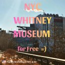 뉴욕 여행 :: 휘트니 미술관 Whitney Museum 무료입장 꿀팁