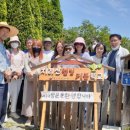 하동약국 이미지