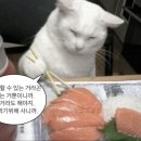 웰마트 이미지