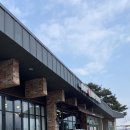 아라애견 | 아라뱃길 애견 동반 카페 수향 후기｜라면까지 가능한 감성 베이커리