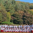 무혼 시범 태권도장 이미지