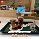 모뜨(motte)