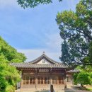 인천 비오는날 데이트 인천시민애집 일본식 가옥 인천 놀거리