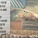 재중농장 Daum카페
