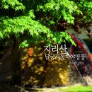 241. 전북 남원시 달궁자동차야영장 - 오랜만의 가족 캠핑