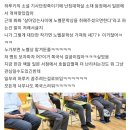 일본에서 무라카미 하루키가 노벨상 받을거라고 설레발 치는 이유. 이미지