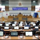 383 이미지