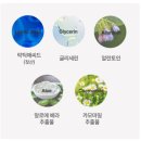 라베나 | 임산부사용가능 여성청결제 추천ㅣ라베나 마더니아 순한 약산성 클렌저 분비물 질염 관리