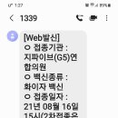 지파이브(G5)연합의원 이미지