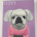 길음동물병원 | 성북구 길음동 동물병원 길음동물병원 진료시간 접근성 이용후기