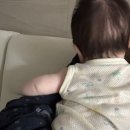 도약체육관 | 생후 3개월 원더윅스 시기, 91일 아기 잠투정 수면 변화 후기