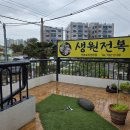 카카오 이미지