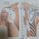알포유 이미지