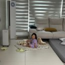 견우애견 | 아이와 강아지가 함께 자라는 우리 집, 행복한 애개육아 이야기❤️