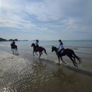산수장 이미지