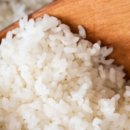 쌀강아지 이미지