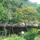 칠현산 숲거리 이미지