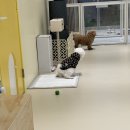 견생낙원 이미지