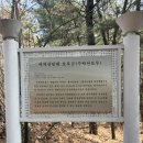 예술무대-봄이 오는 소리 | 봄이 오는 소리#매일 올라가도 좋은 수락산 보루