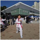 명품태권도 이미지