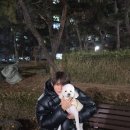 은석 이미지