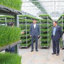 대산농업협동조합 이미지